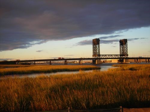 A wetland landscape with a bridge in the background.