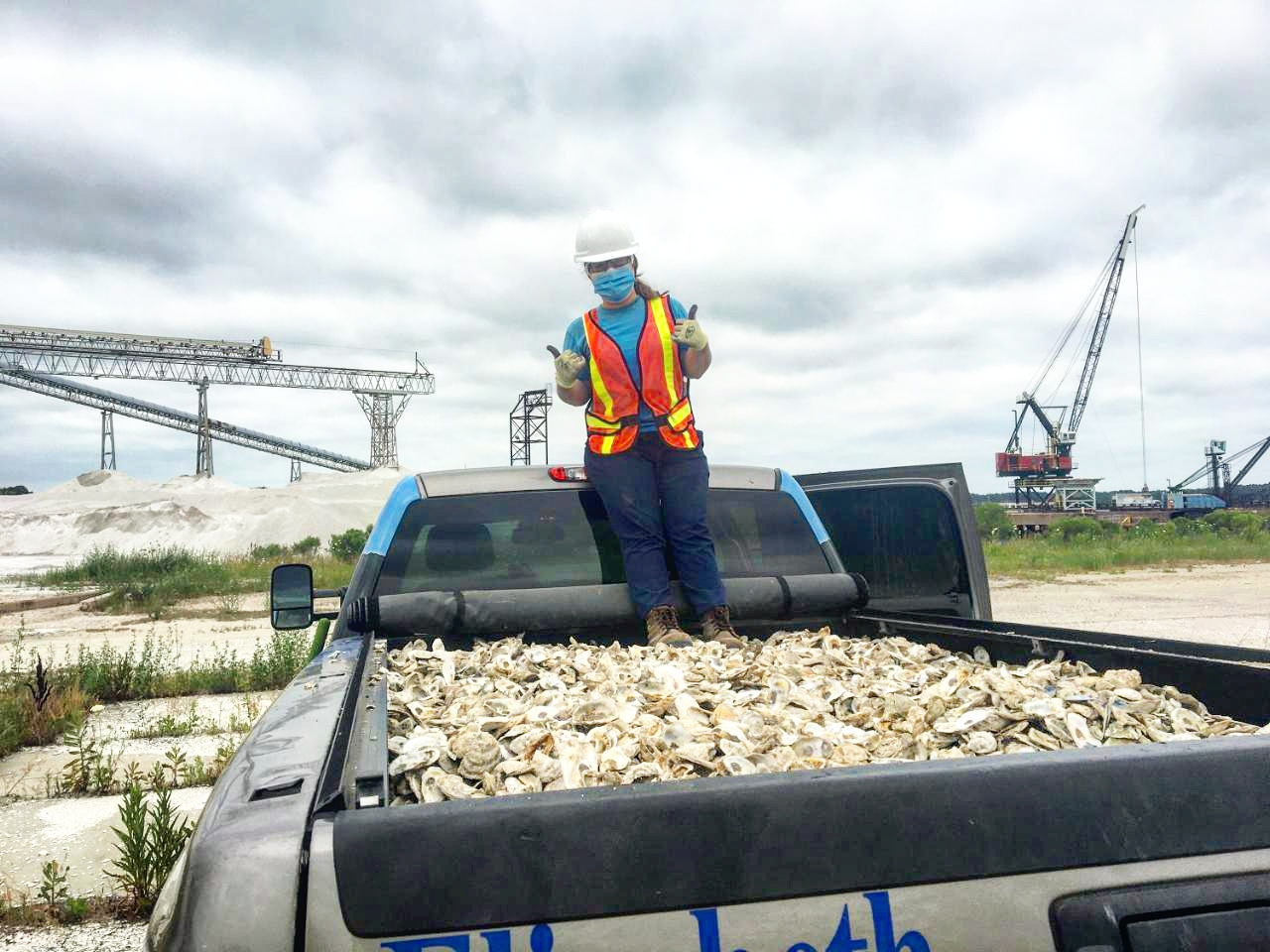  A person in a hard hat and an orange vest standing in a truck bed filled with oysters.
