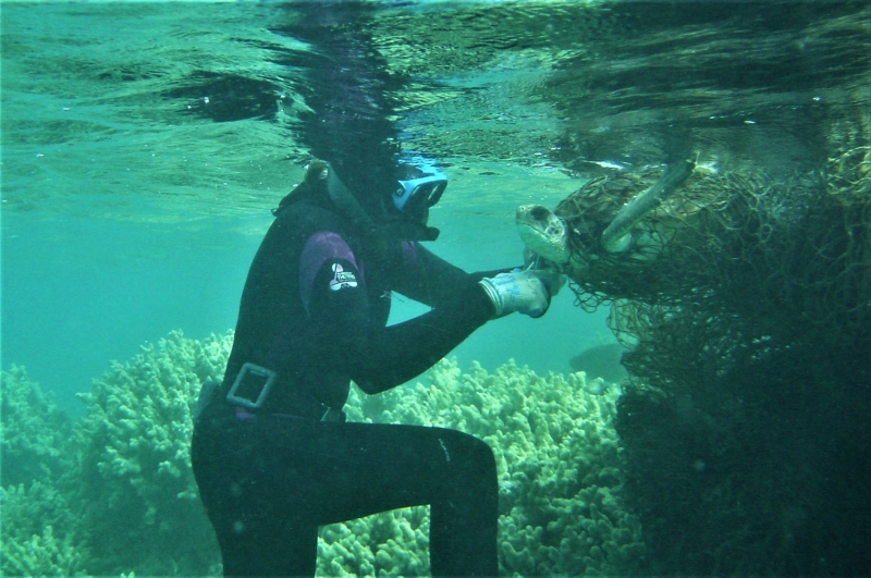 A diver underwater removing a sea turtle from a marine net.