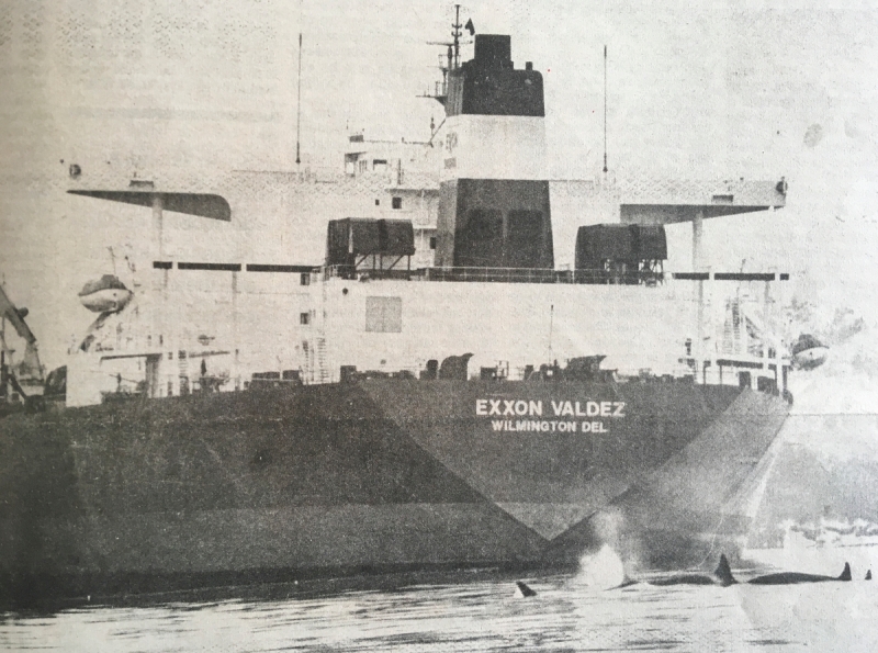 An old photo of orcas swimming in front of a vessel, the "Exxon Valdez." 