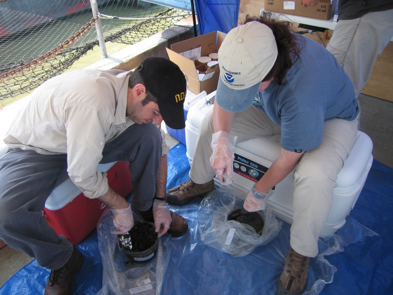 Two people working with sediment samples.