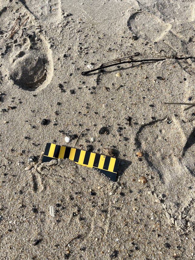 Small, scattered tar balls observed on shoreline