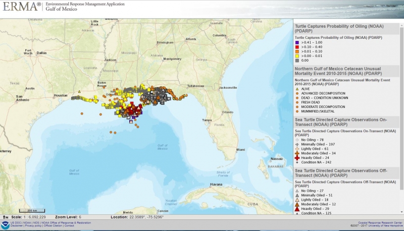 A map of the gulf coast with colored indicators to mark sea turtle data. 