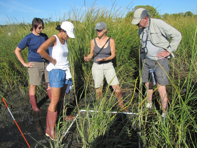 A group of people standing in a marsh. 