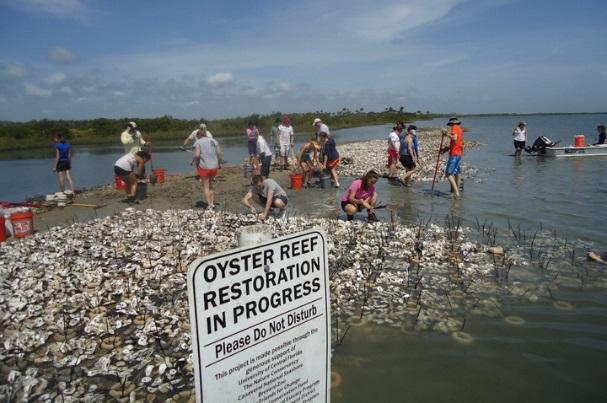 A closeup shot of a sign that reads "Oyster reef restoration in progress," with people working in the background on a coastal area. 