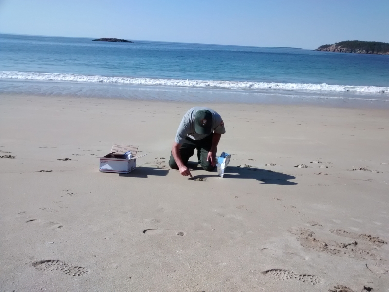 A man collects sand on a beach. 