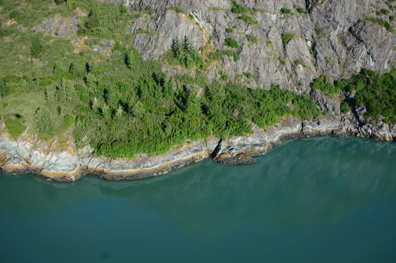 An aerial view of a tree-lined shoreline.