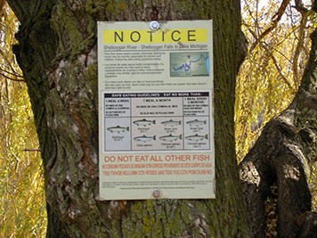 A notice posted on a tree with fish eating advisories on it. 