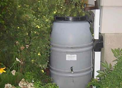A rain collection barrel.