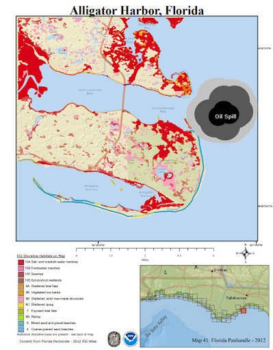 A map of Alligator Harbor with an oil spill depicted in the water and red areas along the shore highlighting sensitive resources at risk. 