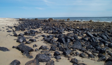 An oiled rocky shoreline.