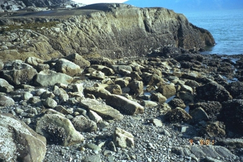 A rocky shoreline.
