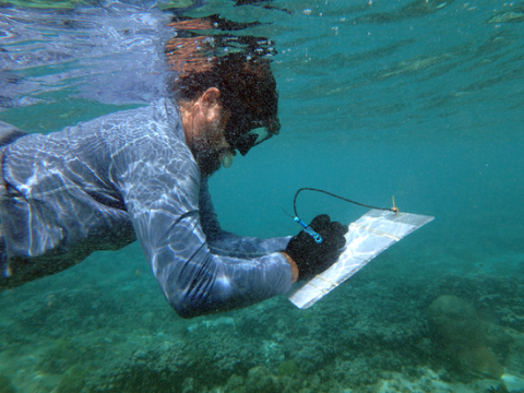 An underwater photo of a man writing on a clipboard. 