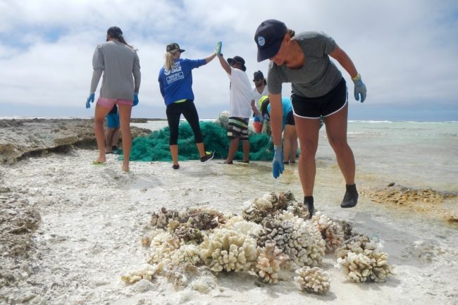 A group of people on a peach with a pile of coral in the foreground and a pile of derelict fishing gear in the background. 