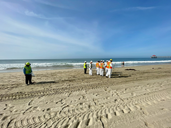 Response team members walks a beach shoreline to recover tar balls.