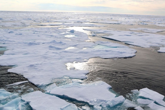 An Arctic landscape. 
