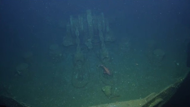A view of the deck of the Coast Trader shipwreck, with chains at center and a bell just below the fish.