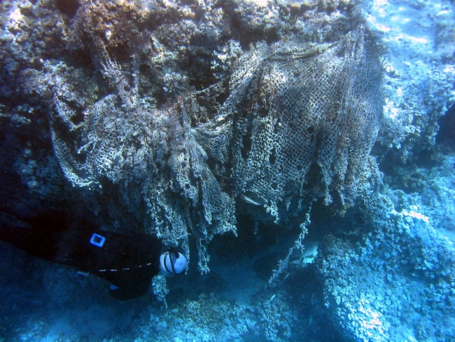A diver swimming next to a large pile of fishing nets on top of a coral. 