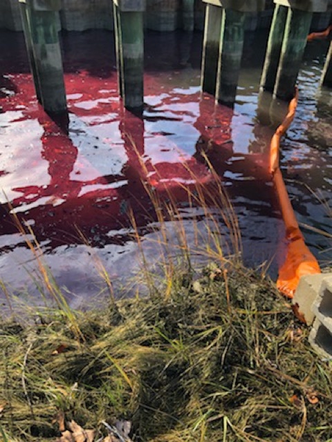 A red liquid in water with pollution boom around it. 
