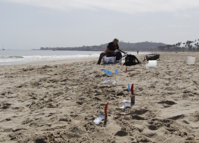 Small sample bags and shovels along a beach with a person in the background. 