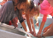 A group of children place their hands in a tub of water. 