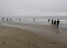 People standing on a beach pulling in netting. 