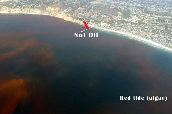 An aerial view of a cloudy red substance in water.