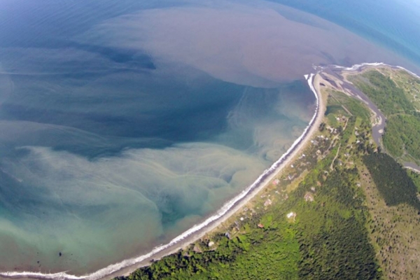 An aerial view of a cloudy tan substance in a body of water along a shoreline.