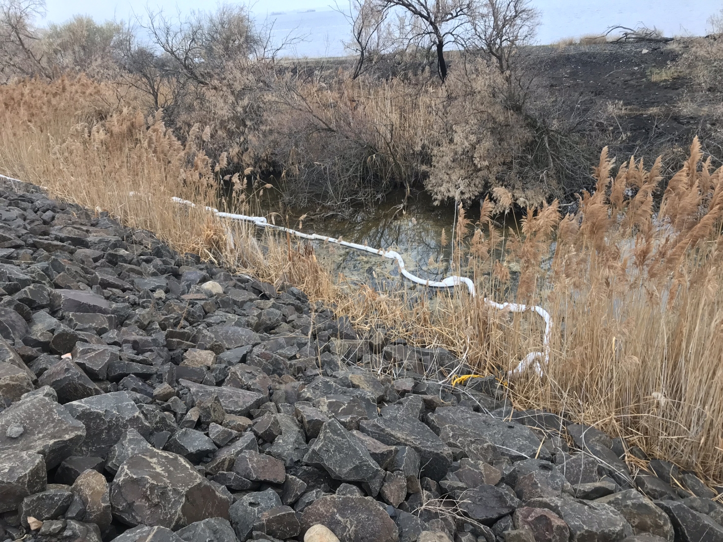 Pollution sorbent visible in a wetland near a rocky slope. 