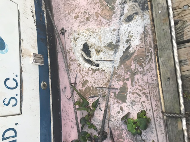 Debris in pink liquid along a boat.