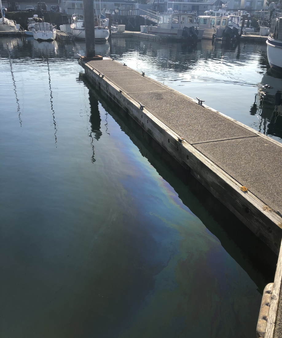 An oil sheen next to a dock in a marina.