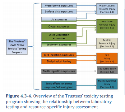 Figure 4.3-4.4. Overview of the Trustees' toxicity testing program showing the relationship between laboratory testing and resource-specific injury assessment. 