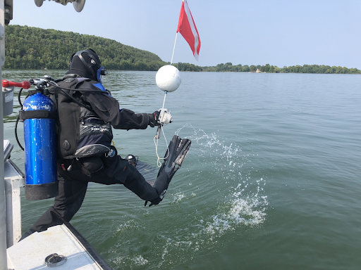 A diver jumping into water.