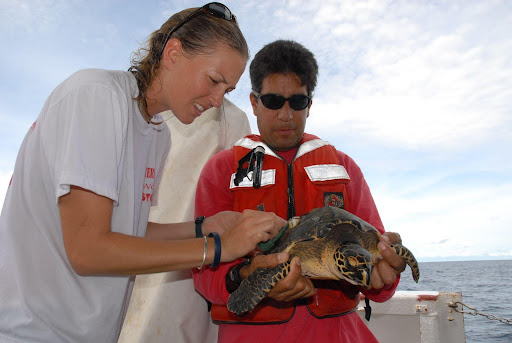 Two people holding a sea turtle.