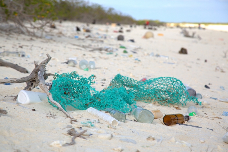 A trail of debris along a sandy beach. 