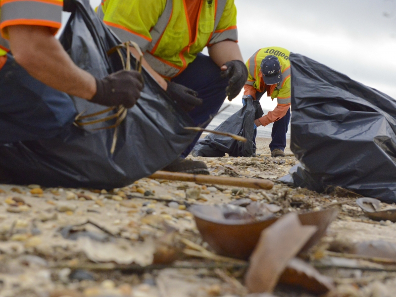 Cleanup workers on a beach.