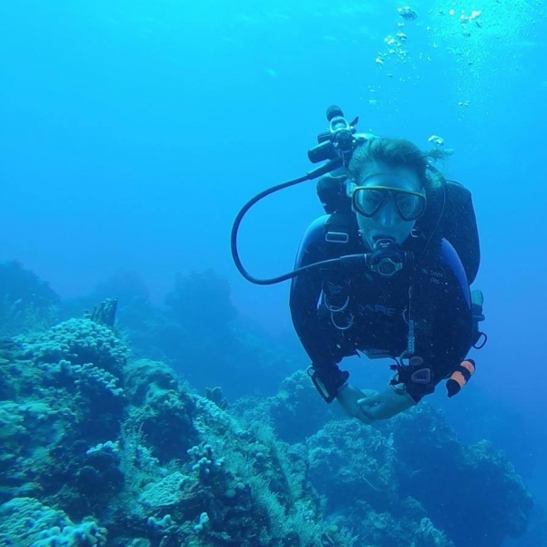 A scuba diver near some coral. 