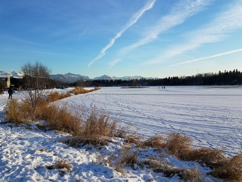 A wintery landscape. 