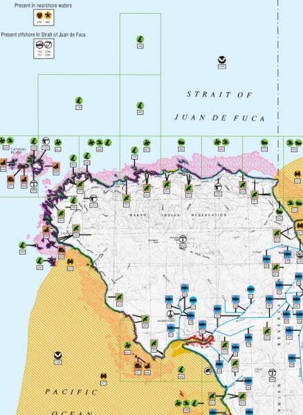 An ESI map.