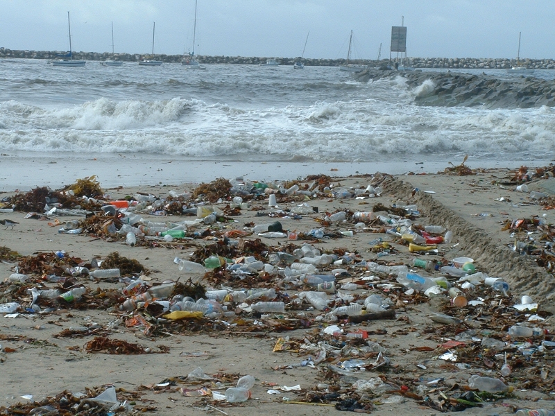 Marine debris on a beach. 