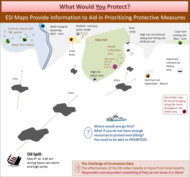 An infographic with a map indicating oil spills, time traveled to the shoreline, and the shoreline resources at risk.