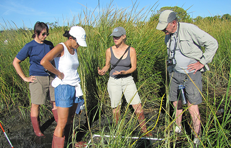 A group of people in tall grass looking at a plot of ground. 