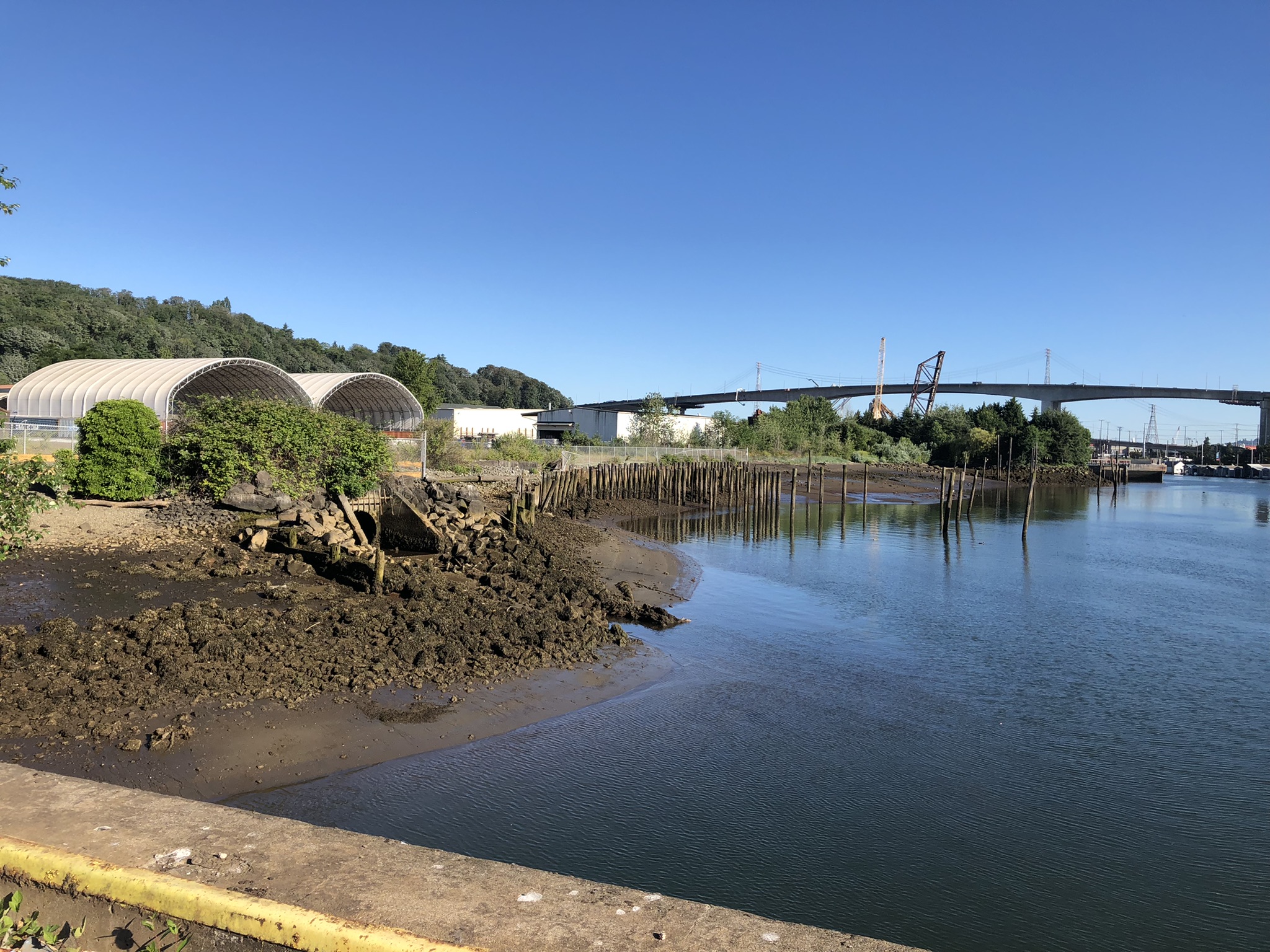 A view of an urban river's bank.