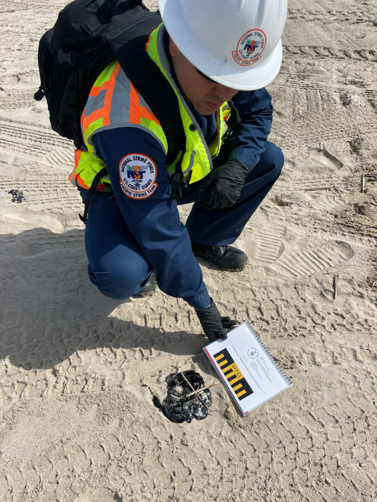 Responder kneels down to measure a tar ball on a beach with a yellow and black ruler.