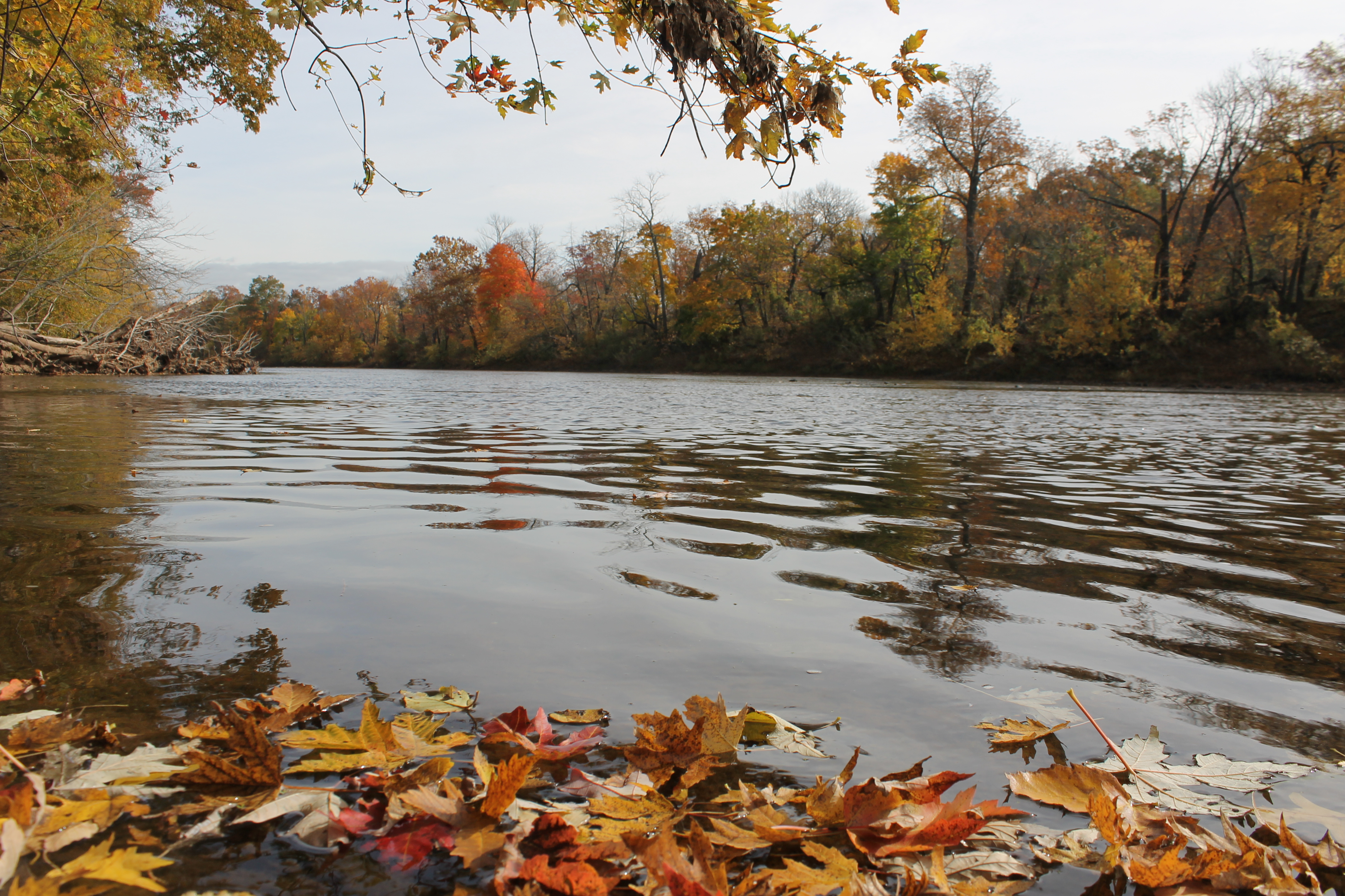 A view of a river from the river's bank in fall.