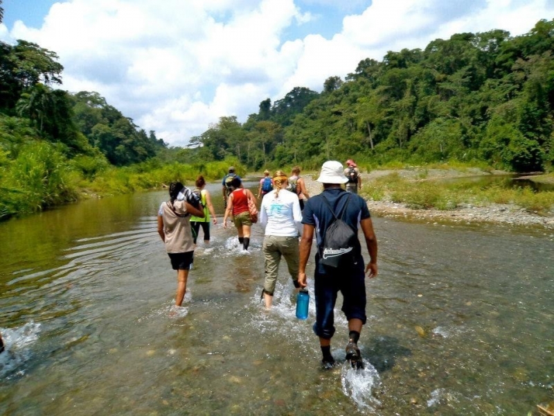 A group of people walking through water in a mountain area.