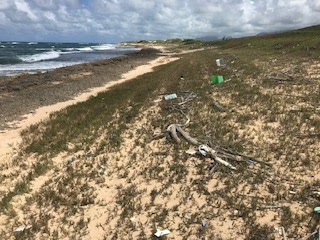 A beach.