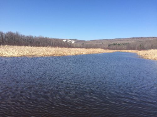 A photo of a river. 