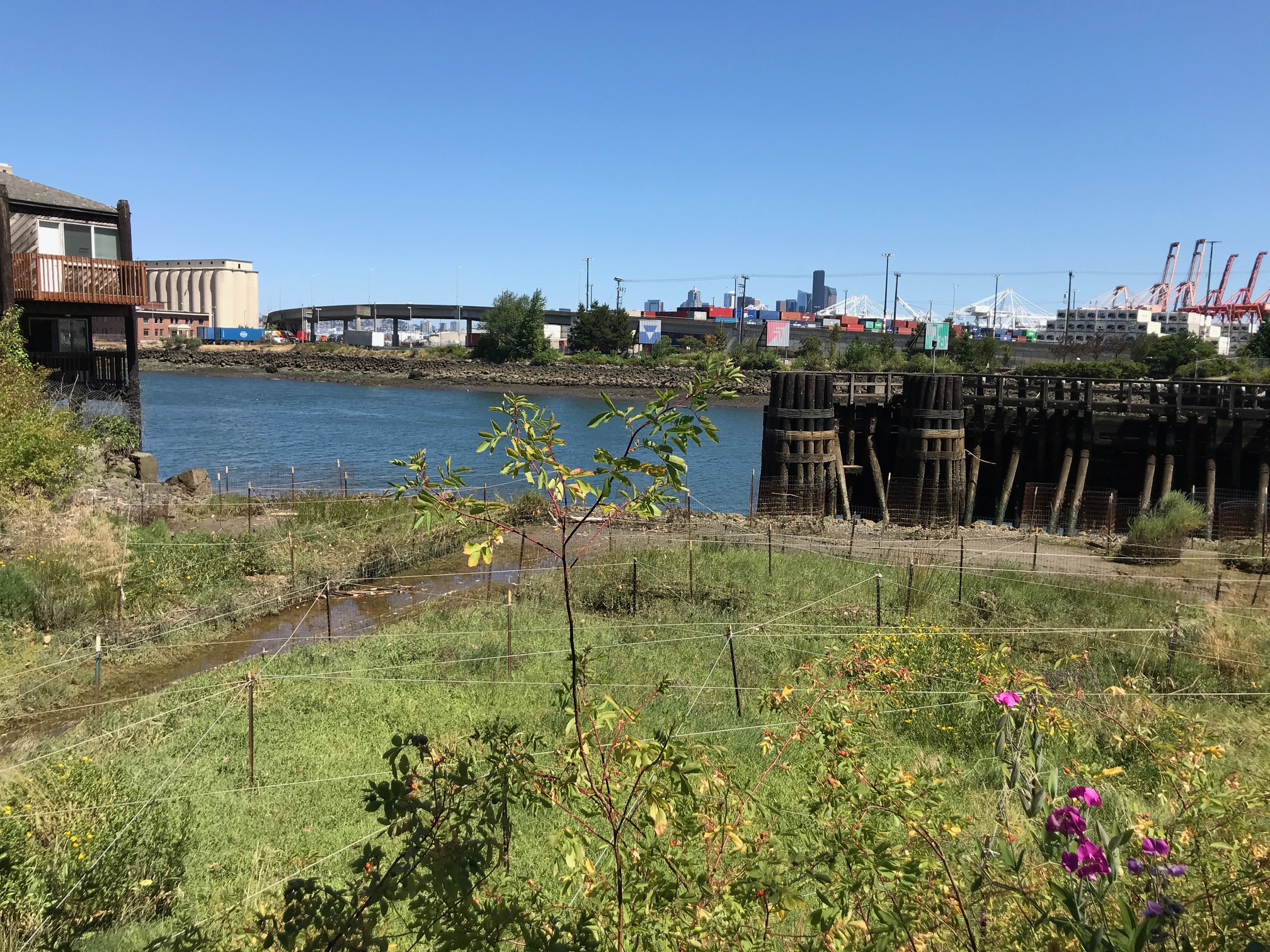 Environmental restoration project in progress on the bank of an urban river.