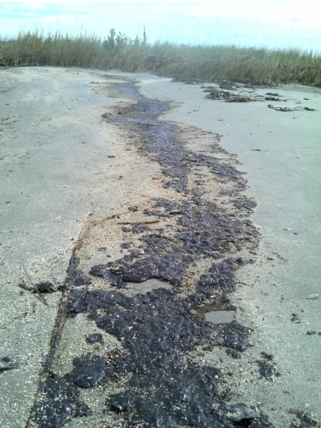 Oil residue and tarballs on a beach. 